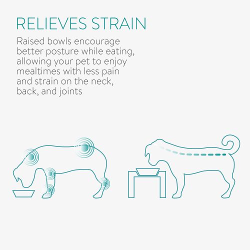 Set 2 Boluri pentru caini si pisici cu suport inclinat Navaris, 330 ml, 55228.2