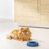 Bol portabil Navaris pentru caine si pisica, Silicon, Albastru, 55861.04