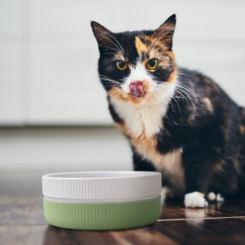 Set 2 Boluri pentru pisici si caini Navaris, Anti-aluneacare, Verde, 53411.07