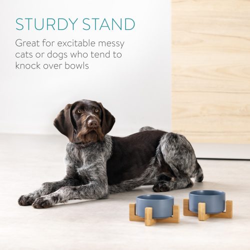 Set 2 Boluri pentru pisici si caini cu suport din bambus Navaris, 550 ml, Albastru, 48350.1.04