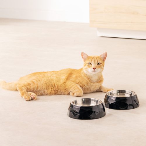 Set 2 Boluri pentru animale de companie Navaris, Metal, Negru, 57479.01