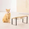 Set de 2 boluri pentru apa si hrana pentru caini si pisici, Alb, Ceramica, 55229.02