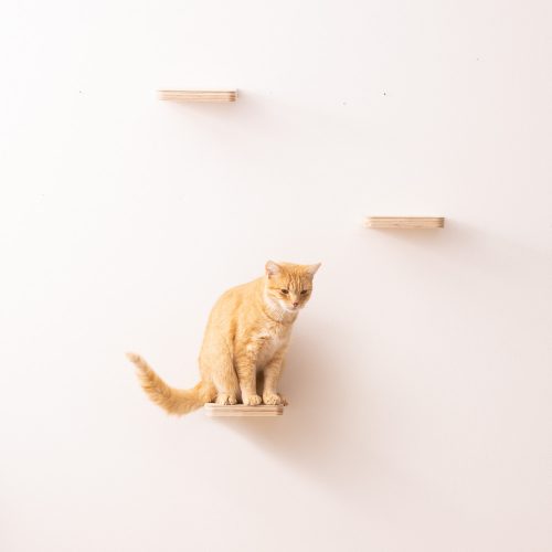 Mobilier de catarat pentru pisici Navaris, Crem, Lemn, 59243.01