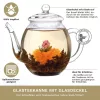 Ceainic din sticla Creano cu capac, 500 ml, rezistent la caldura, turnare fara picurare
